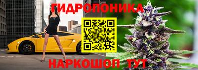 молекула духа Гусиноозёрск