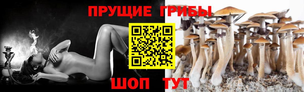 Галлюциногенные грибы GOLDEN TEACHER Калач-на-Дону